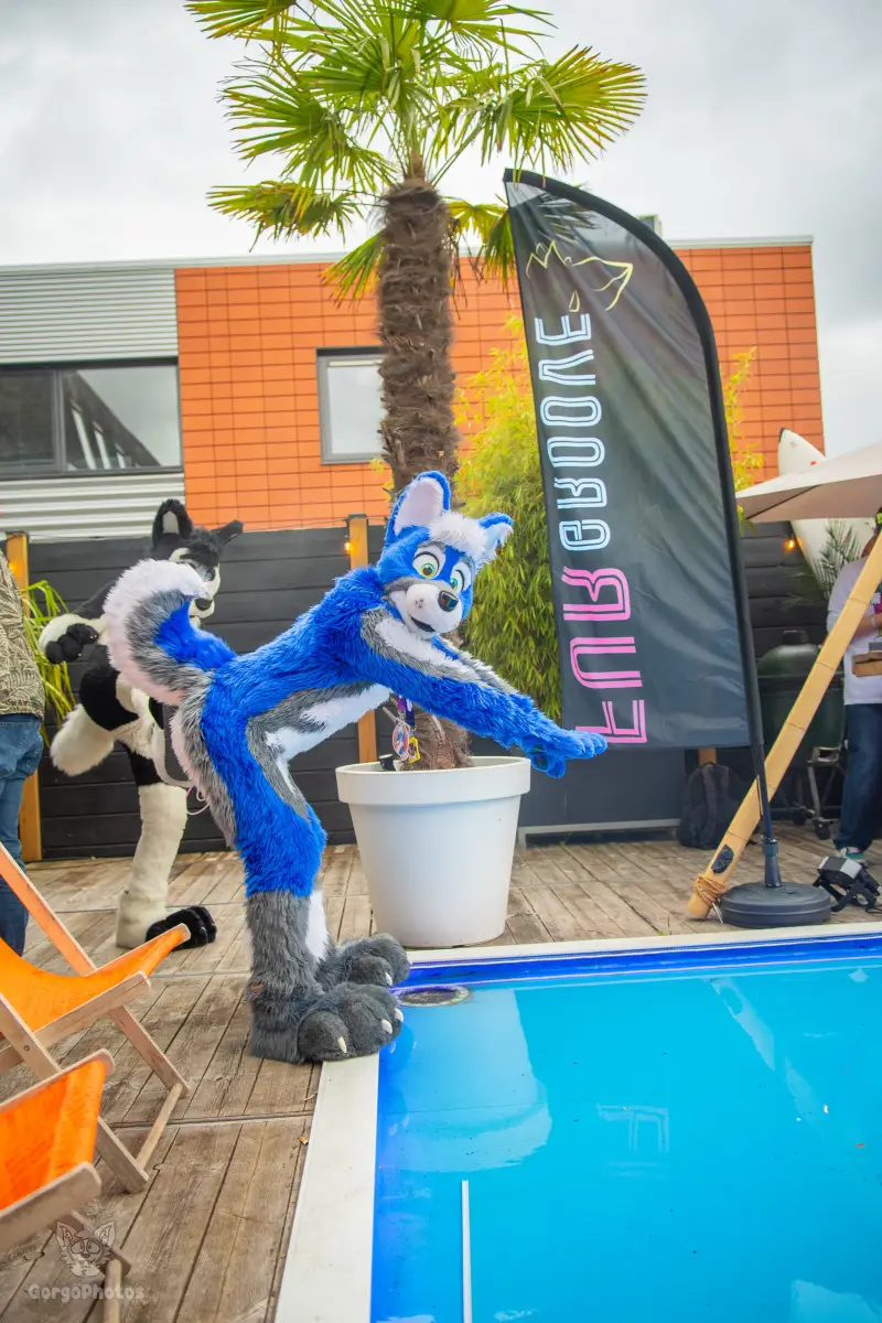 gp_furgroovesummer2026-87-standard.webp