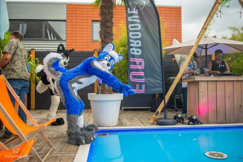 gp_furgroovesummer2026-88-standard.webp