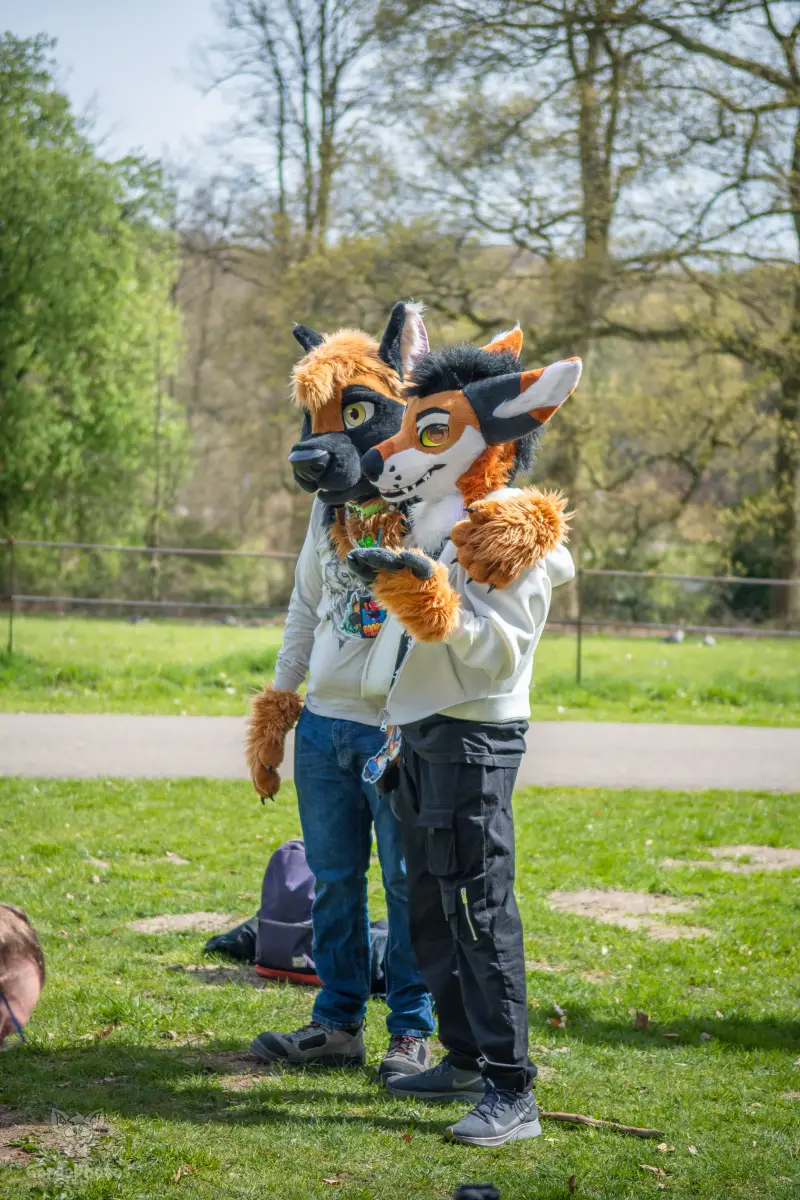 gp_sonsbeekfurmeet2-1-standard.webp