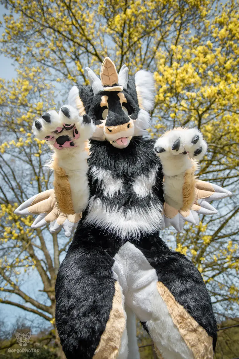gp_sonsbeekfurmeet2-10-standard.webp