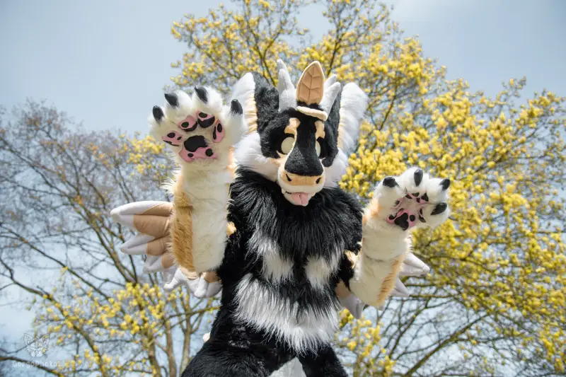 gp_sonsbeekfurmeet2-11-standard.webp