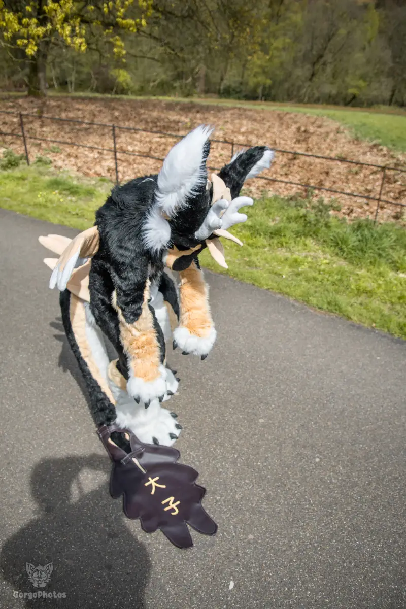 gp_sonsbeekfurmeet2-12-standard.webp