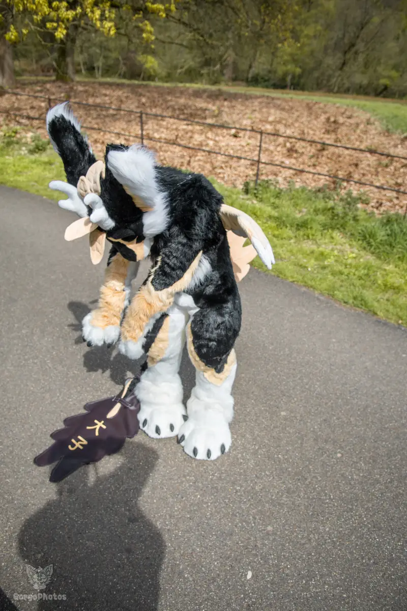 gp_sonsbeekfurmeet2-14-standard.webp