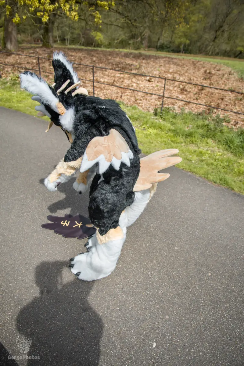 gp_sonsbeekfurmeet2-15-standard.webp