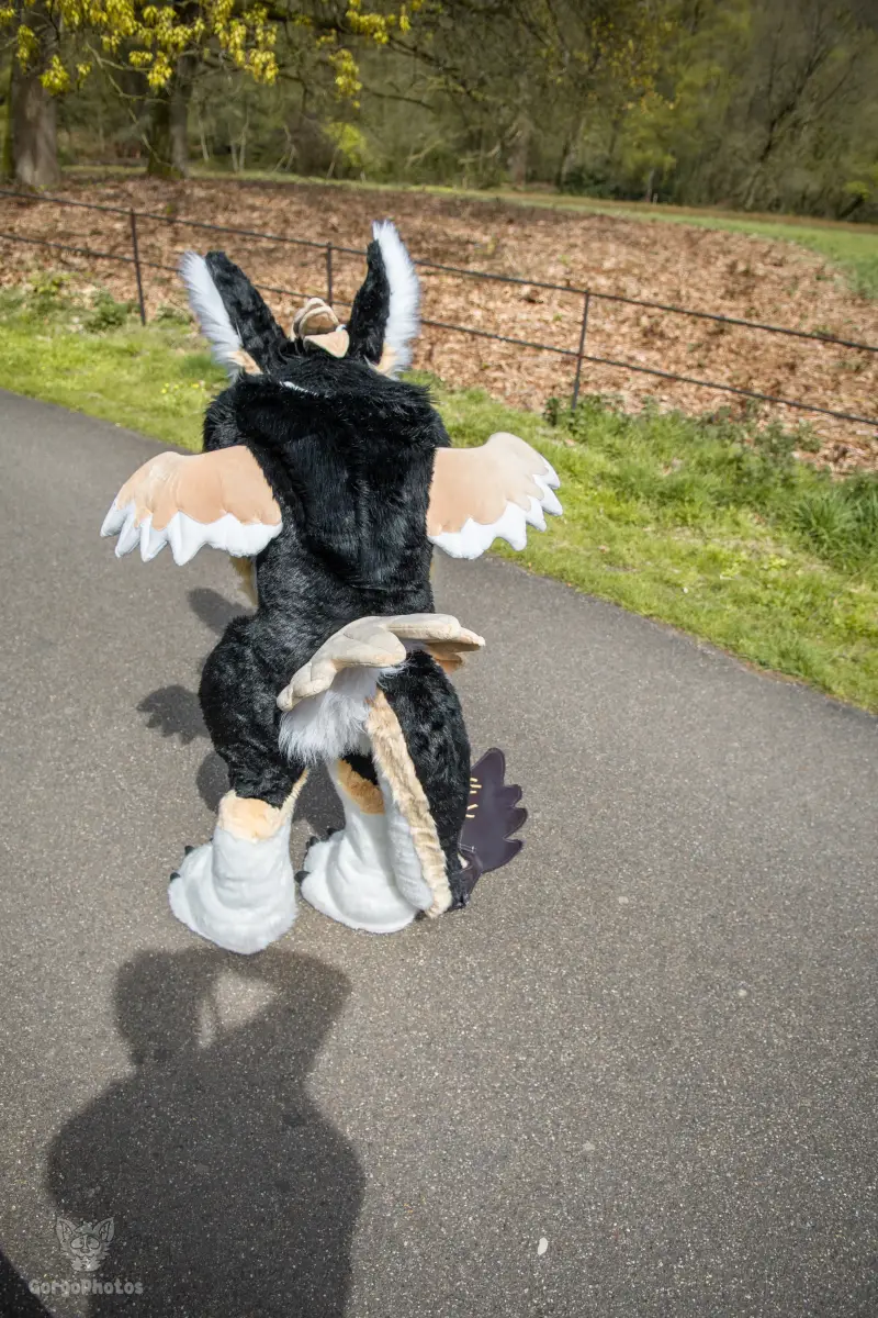 gp_sonsbeekfurmeet2-16-standard.webp