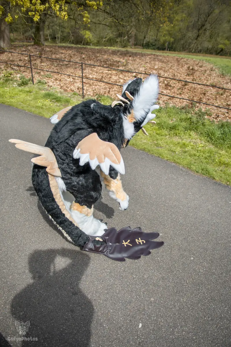 gp_sonsbeekfurmeet2-17-standard.webp