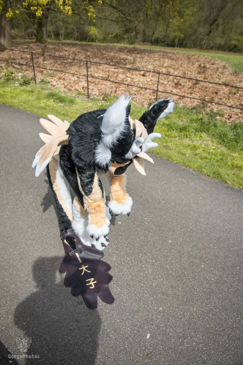 gp_sonsbeekfurmeet2-18-standard.webp