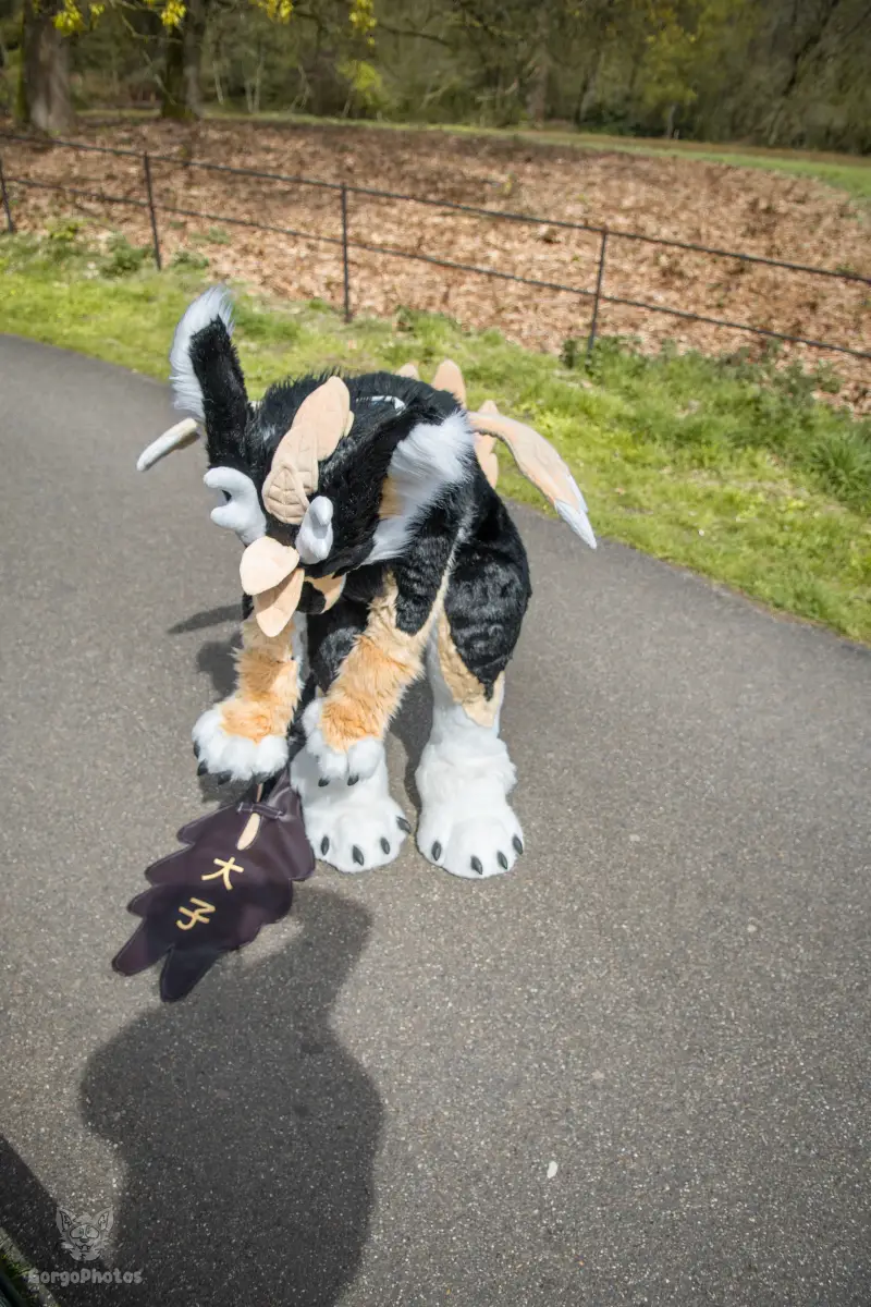 gp_sonsbeekfurmeet2-19-standard.webp