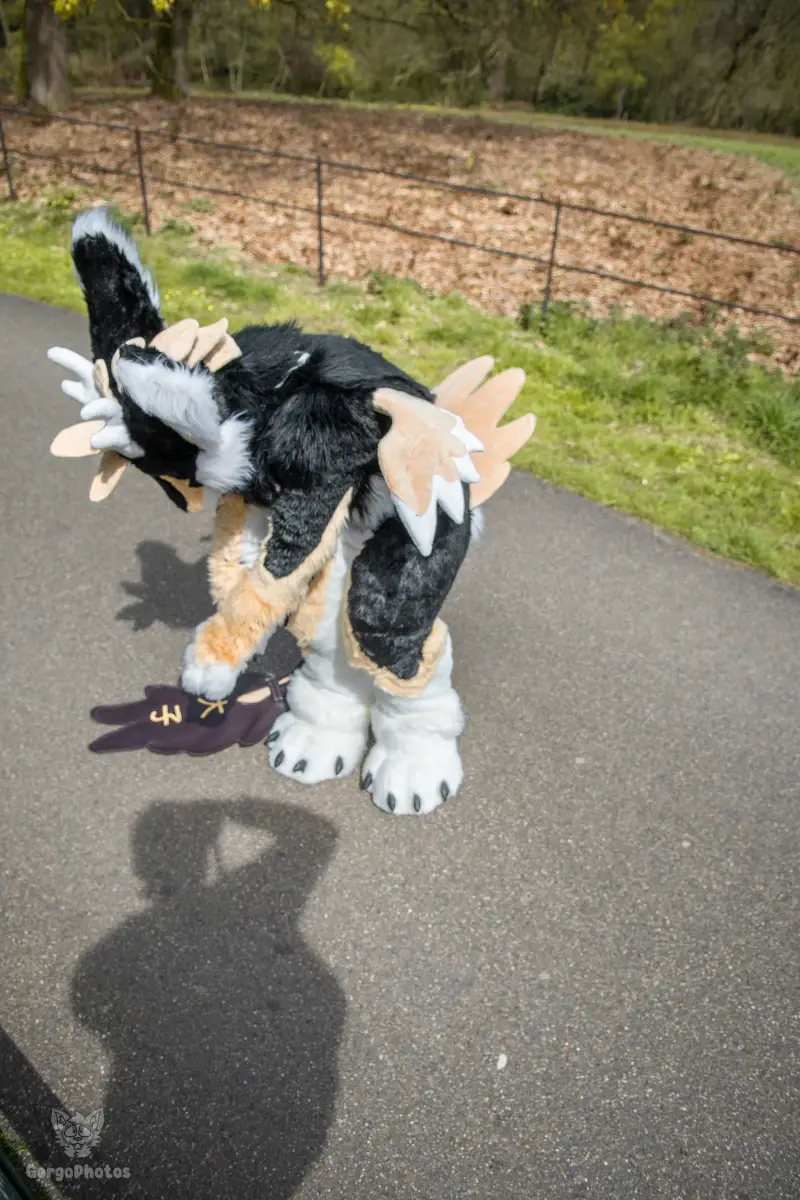 gp_sonsbeekfurmeet2-20-standard.webp
