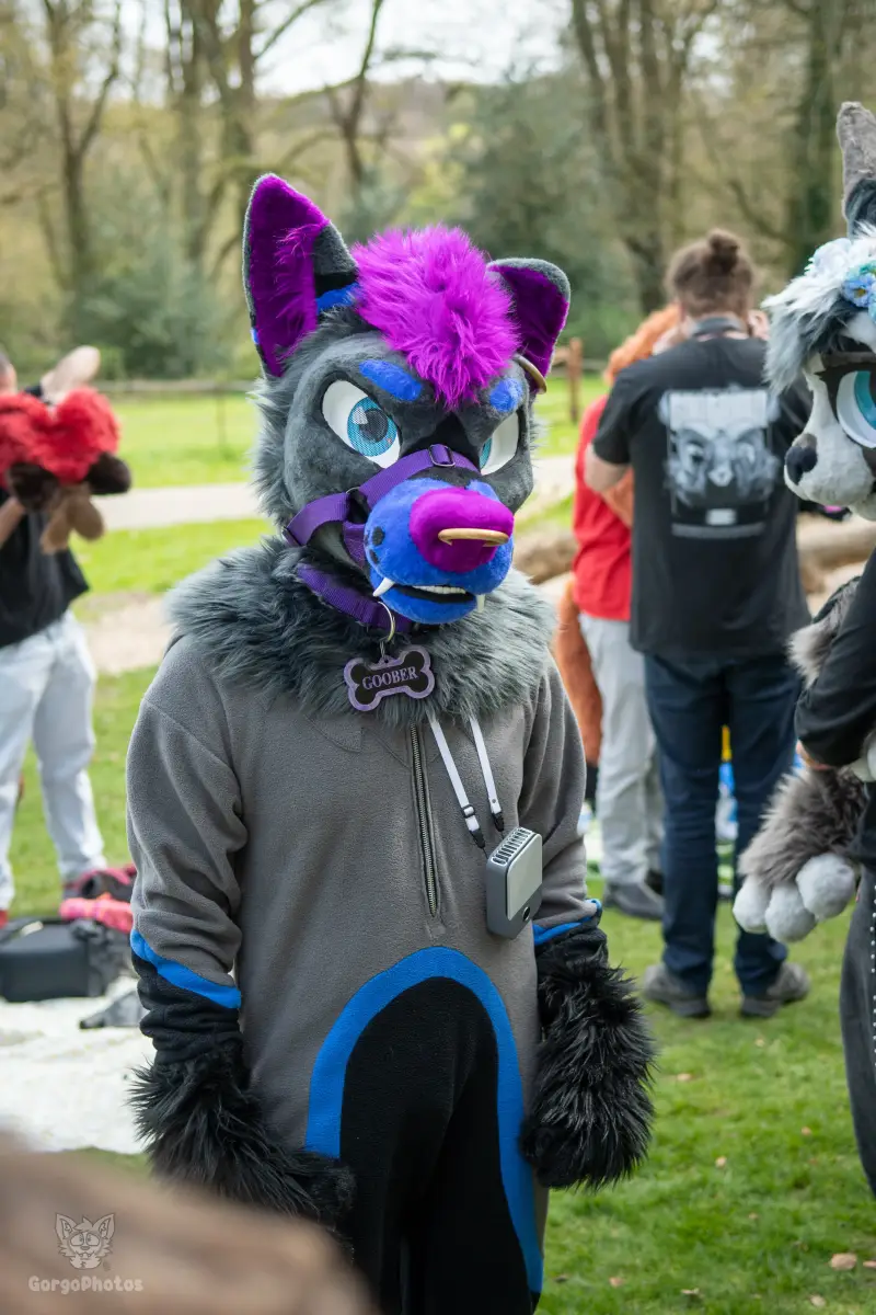 gp_sonsbeekfurmeet2-25-standard.webp