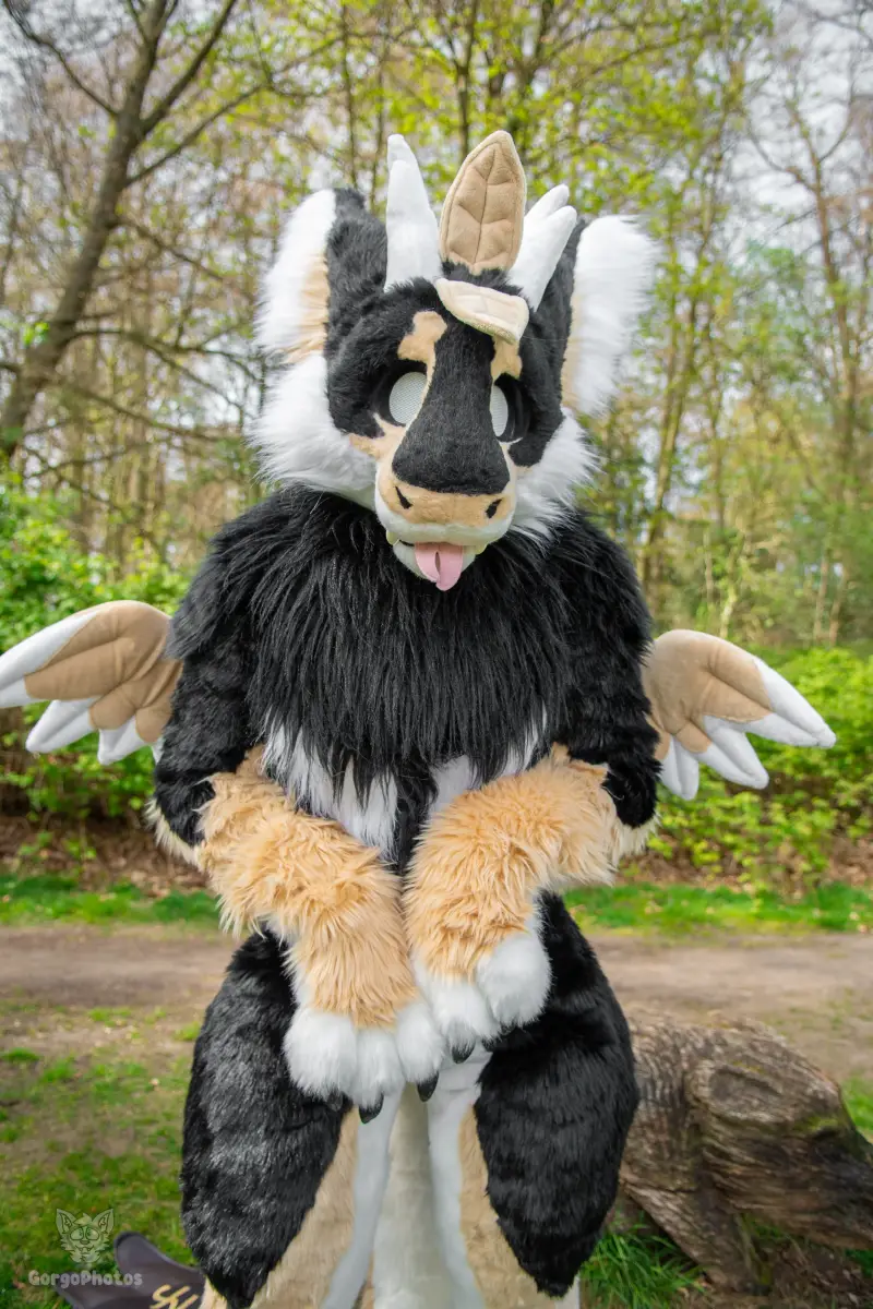 gp_sonsbeekfurmeet2-3-standard.webp