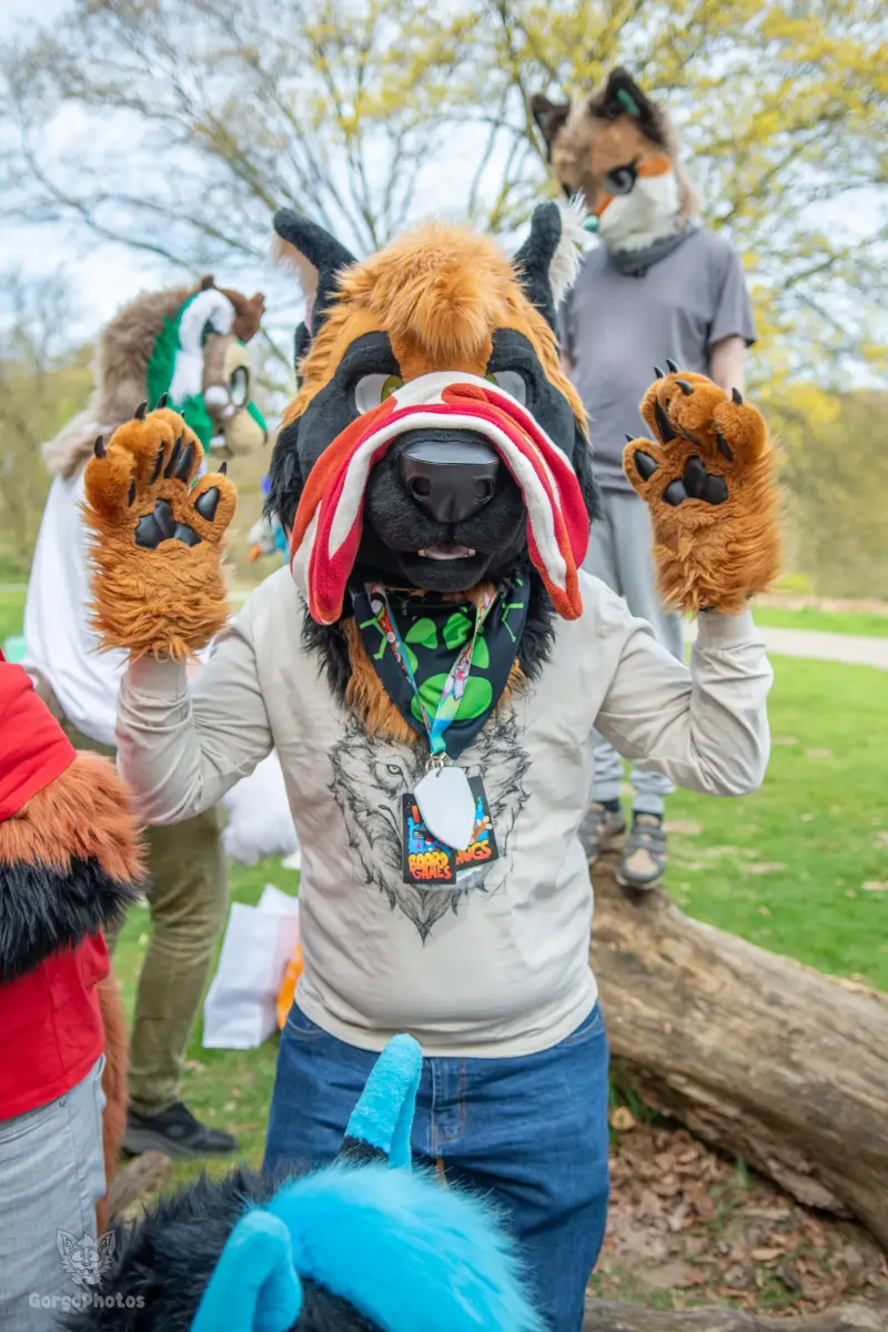gp_sonsbeekfurmeet2-34-standard.webp