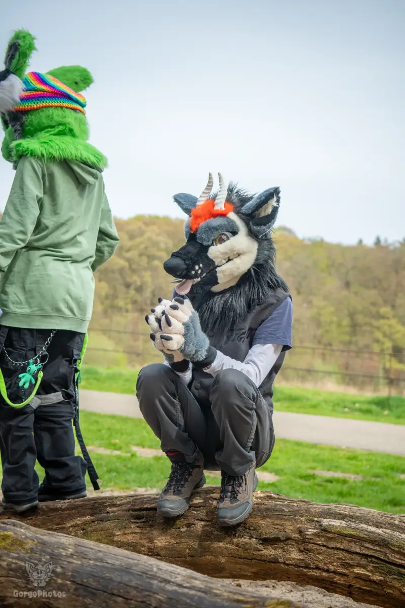 gp_sonsbeekfurmeet2-38-standard.webp