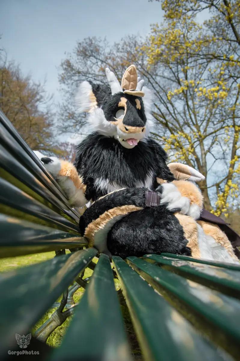 gp_sonsbeekfurmeet2-4-standard.webp