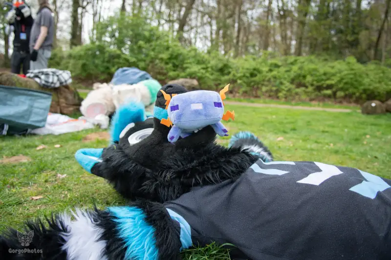 gp_sonsbeekfurmeet2-42-standard.webp