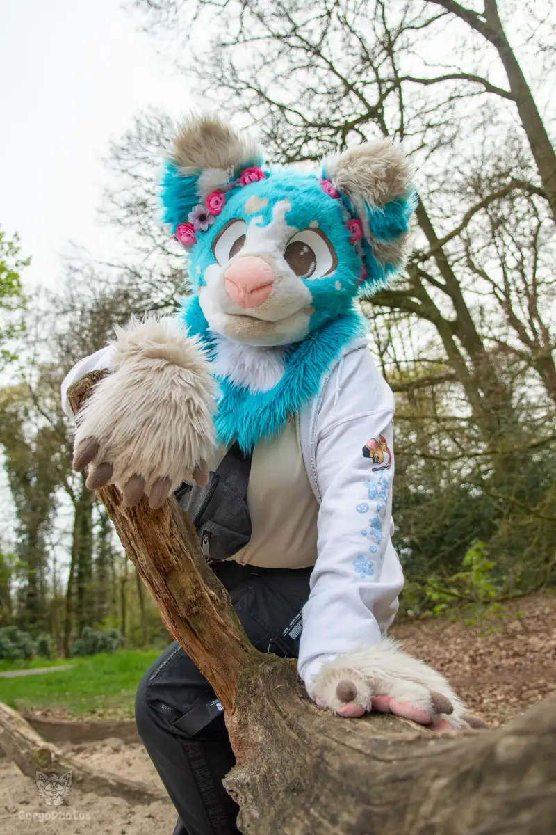 gp_sonsbeekfurmeet2-44-standard.webp