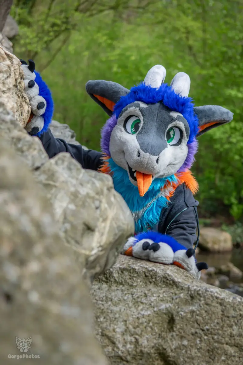 gp_sonsbeekfurmeet2-48-standard-jwx2km.webp