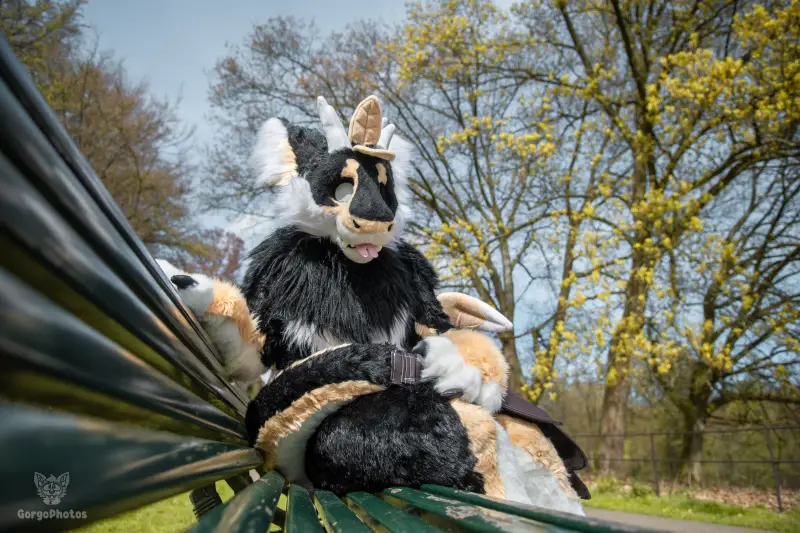 gp_sonsbeekfurmeet2-5-standard.webp