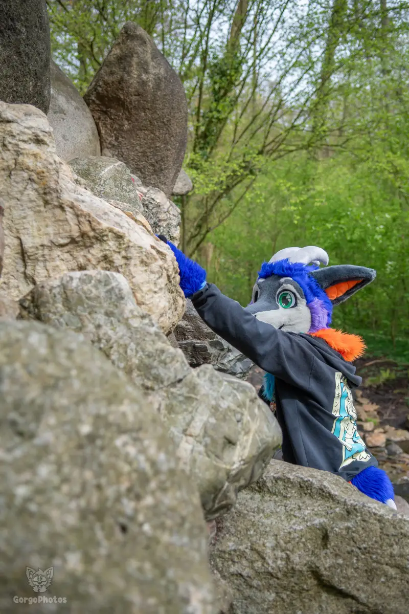 gp_sonsbeekfurmeet2-50-standard.webp