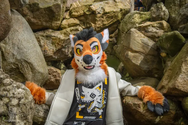 gp_sonsbeekfurmeet2-52-standard.webp