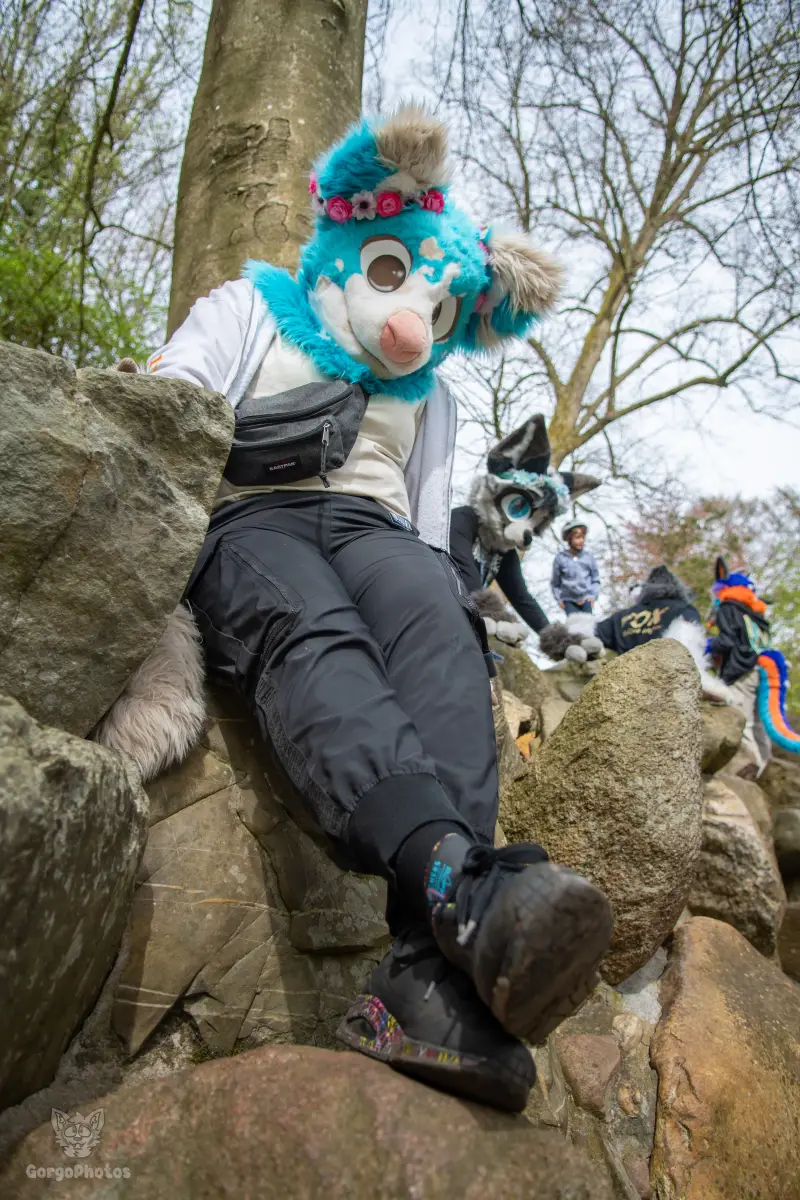 gp_sonsbeekfurmeet2-53-standard.webp