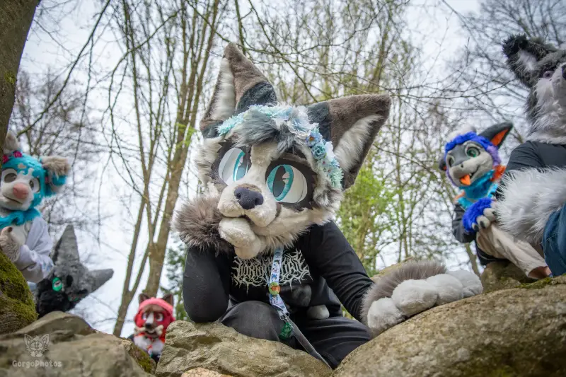 gp_sonsbeekfurmeet2-54-standard.webp