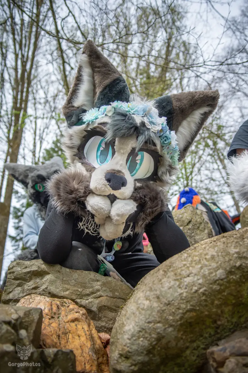 gp_sonsbeekfurmeet2-55-standard.webp