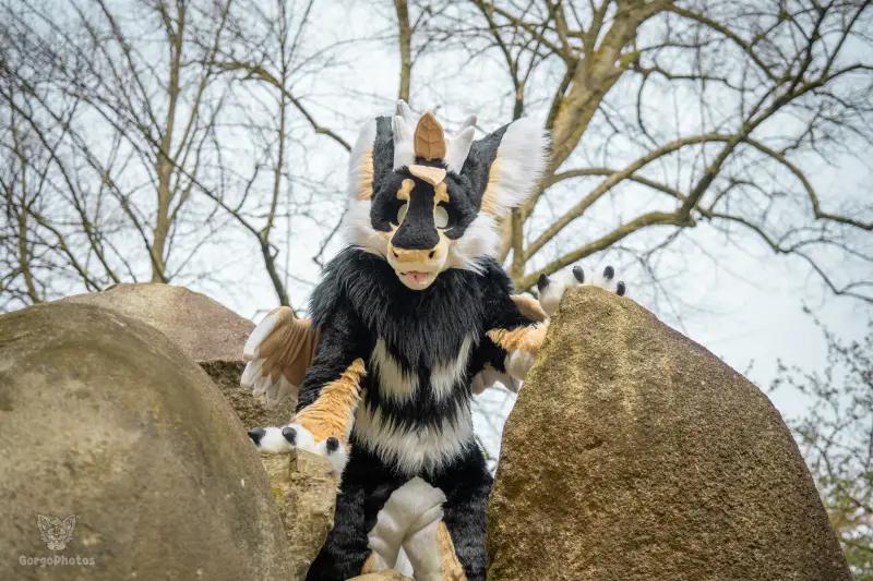gp_sonsbeekfurmeet2-56-standard.webp