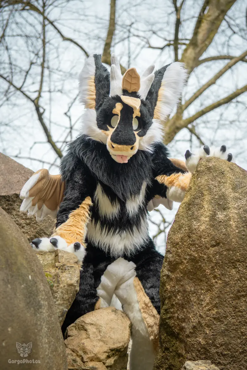 gp_sonsbeekfurmeet2-57-standard.webp