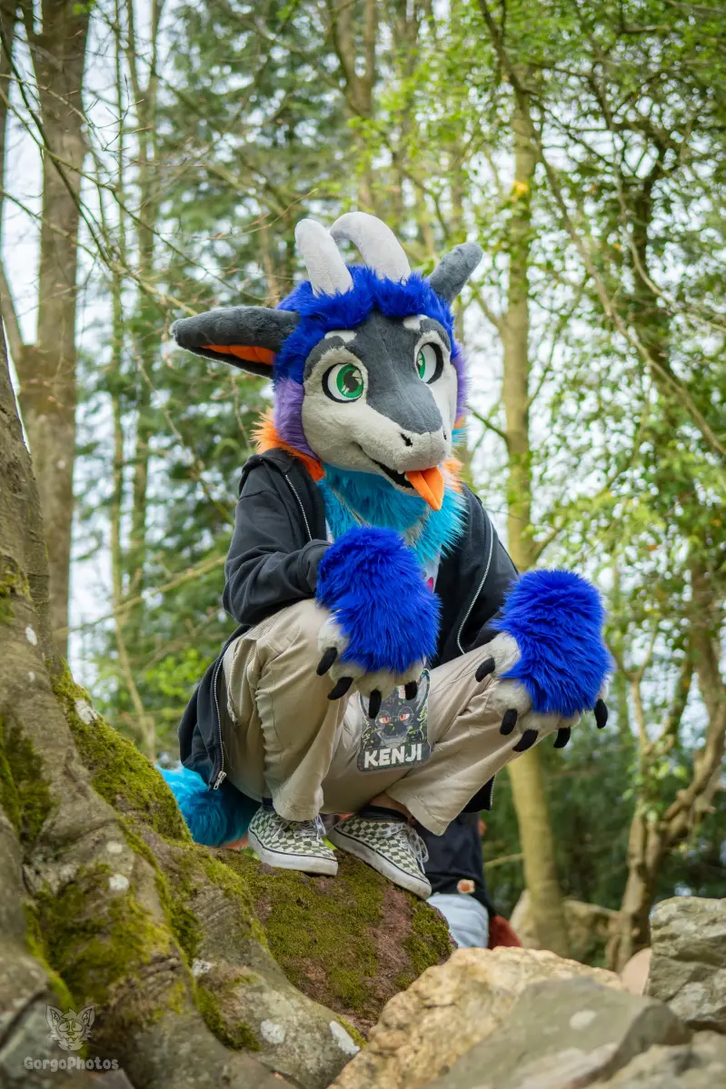 gp_sonsbeekfurmeet2-58-standard.webp