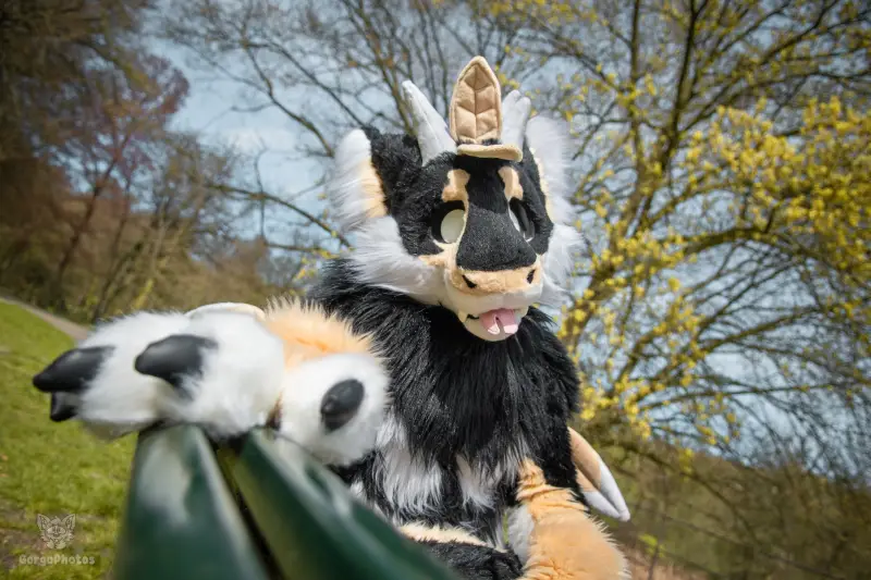 gp_sonsbeekfurmeet2-6-standard.webp