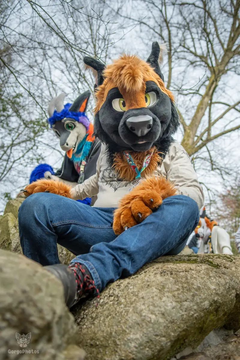 gp_sonsbeekfurmeet2-60-standard.webp