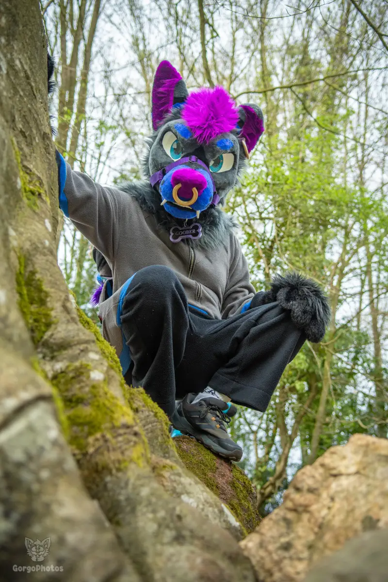 gp_sonsbeekfurmeet2-61-standard.webp
