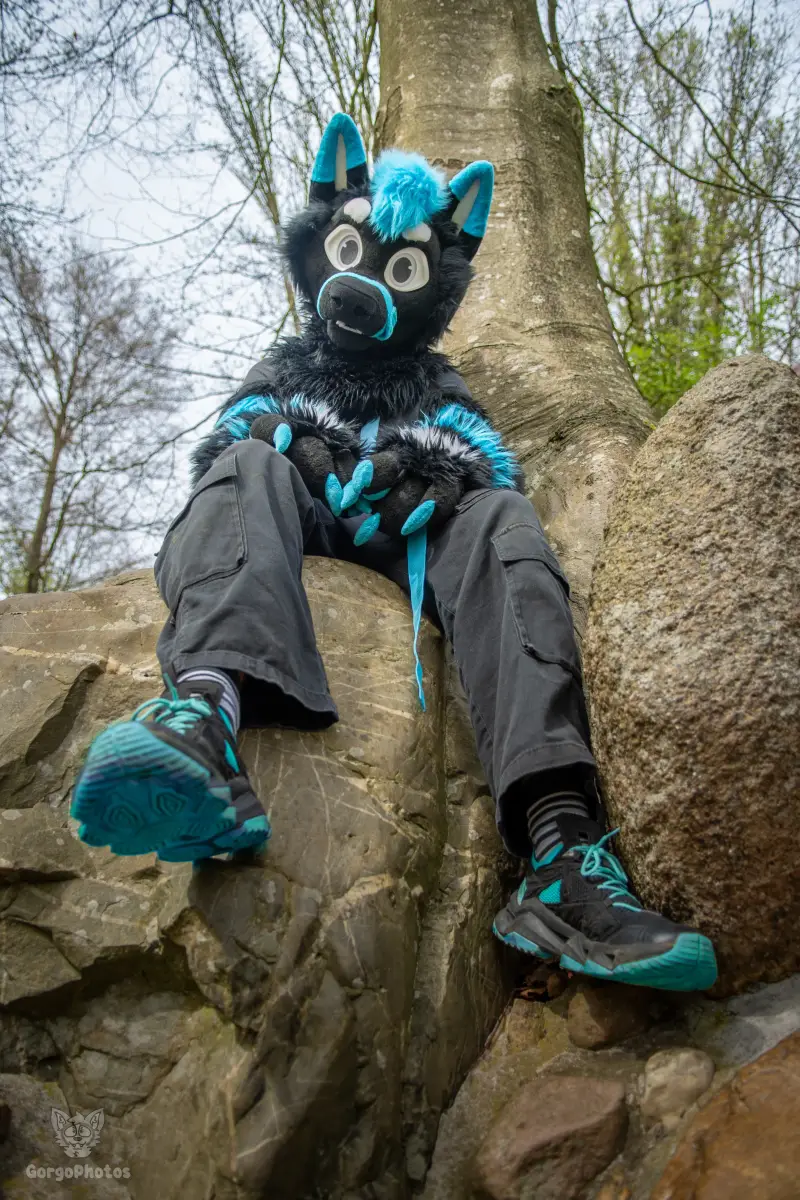 gp_sonsbeekfurmeet2-62-standard.webp