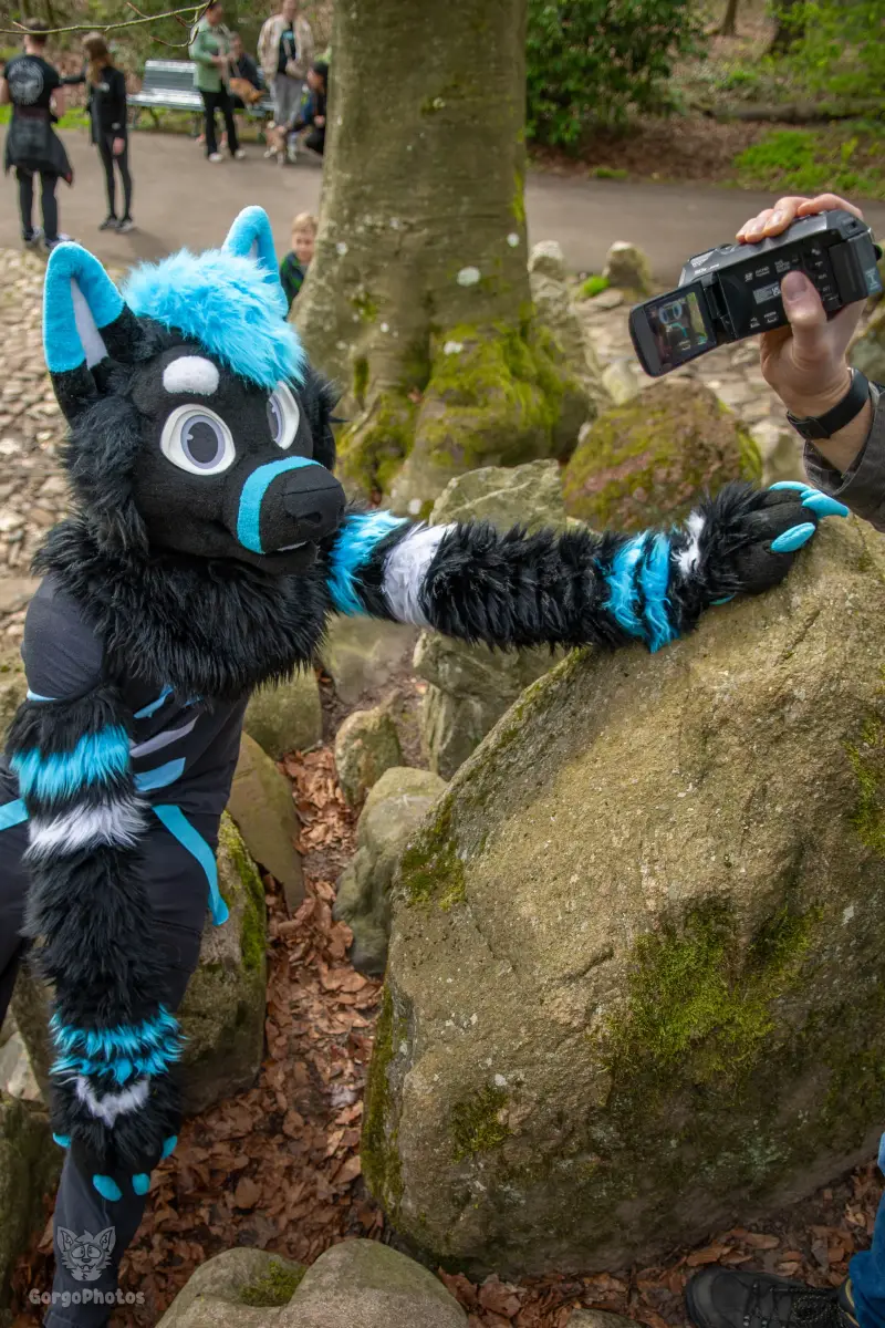 gp_sonsbeekfurmeet2-63-standard.webp