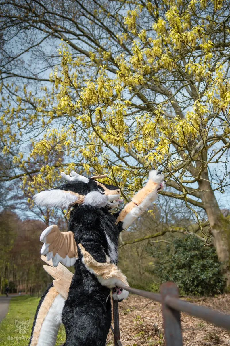 gp_sonsbeekfurmeet2-7-standard.webp
