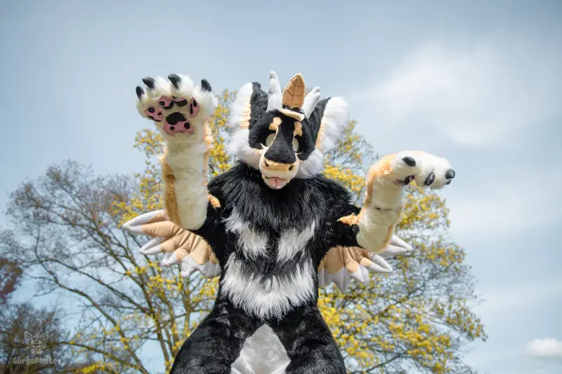 gp_sonsbeekfurmeet2-8-standard.webp