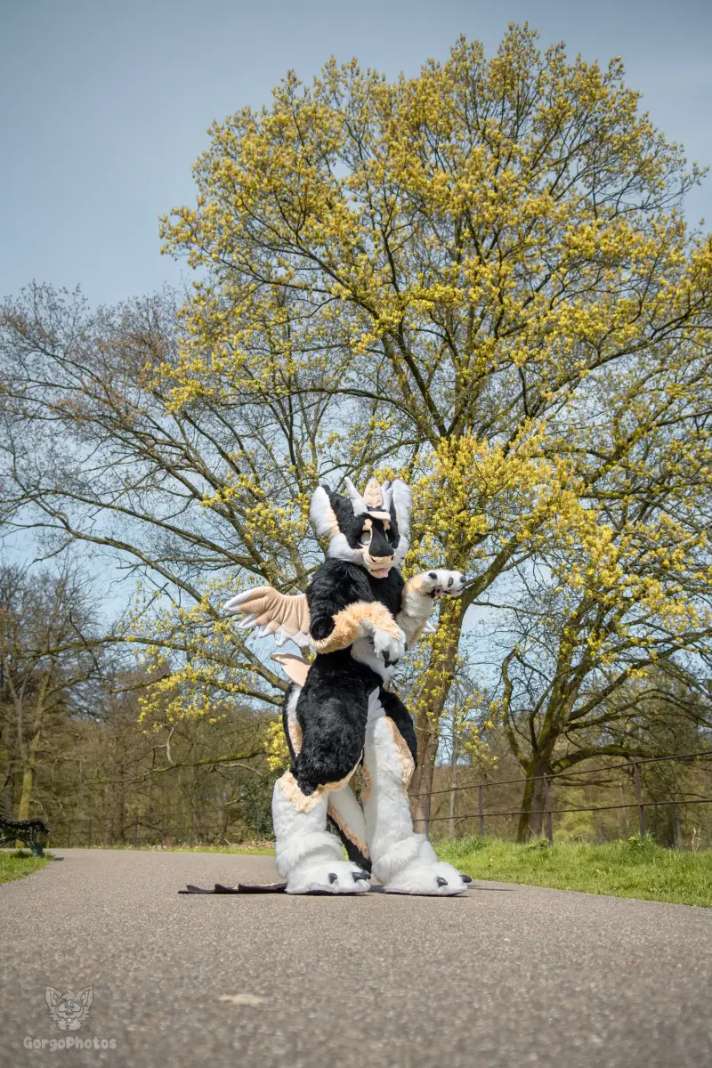 gp_sonsbeekfurmeet2-9-standard.webp