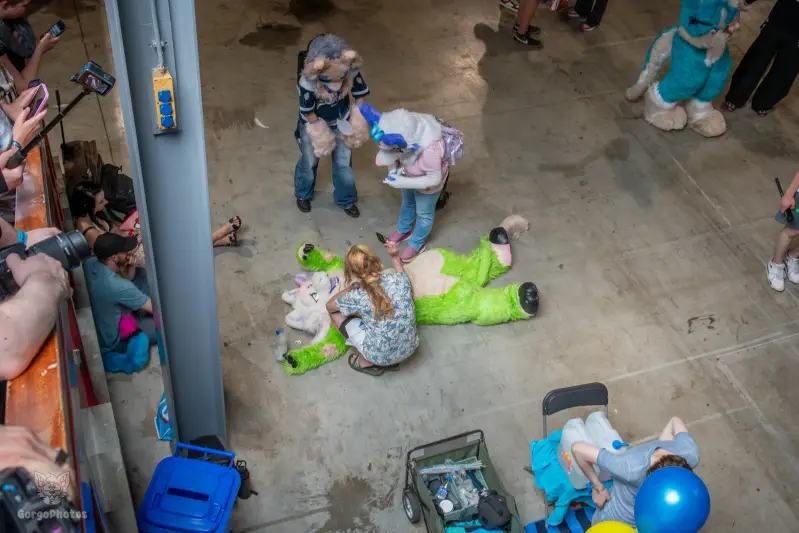 hdcc2026_summer-114-standard.webp