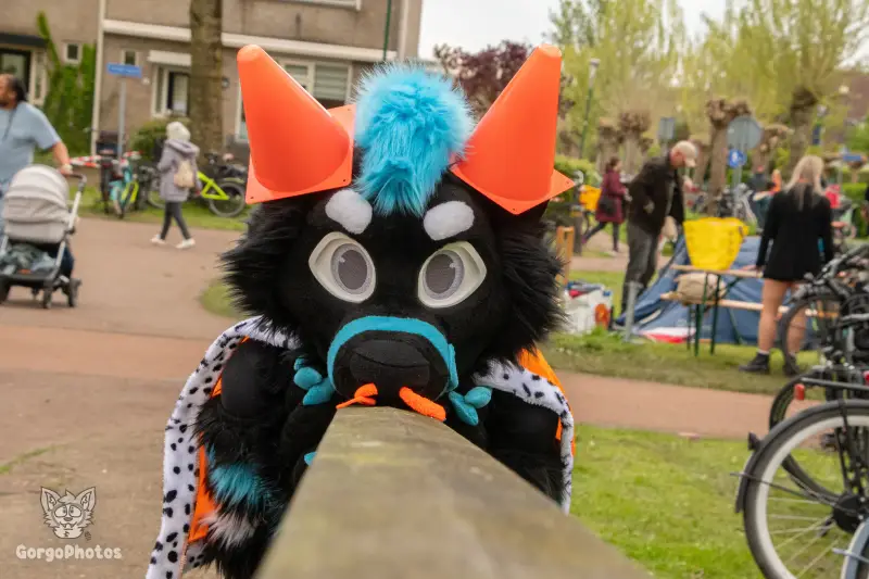 koningsdagfurwalk-107-standard.webp