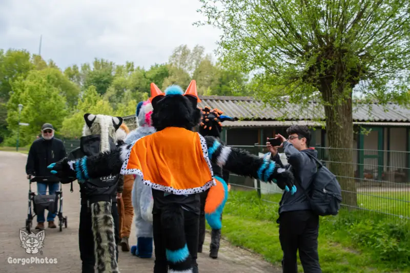 koningsdagfurwalk-13-standard.webp