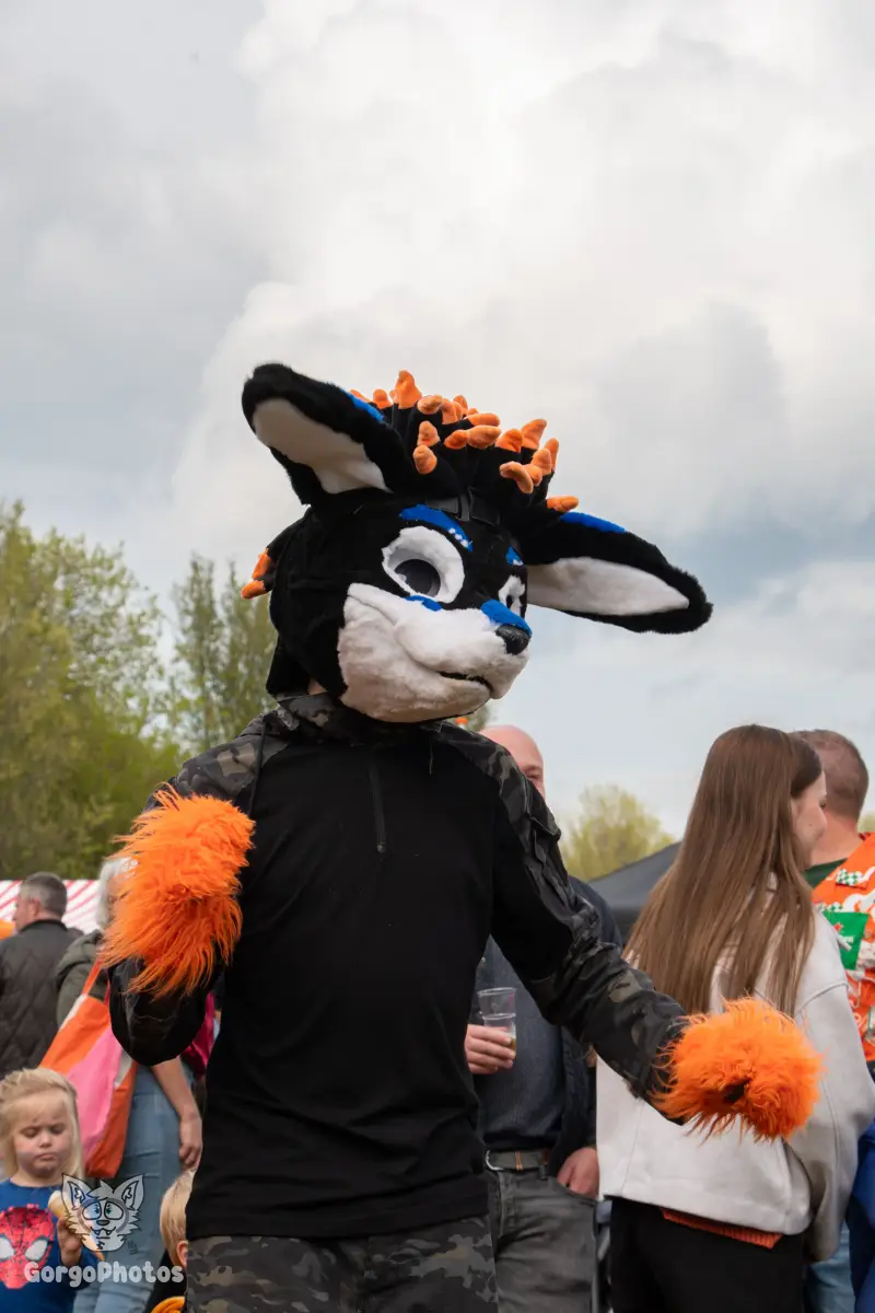 koningsdagfurwalk-135-standard.webp