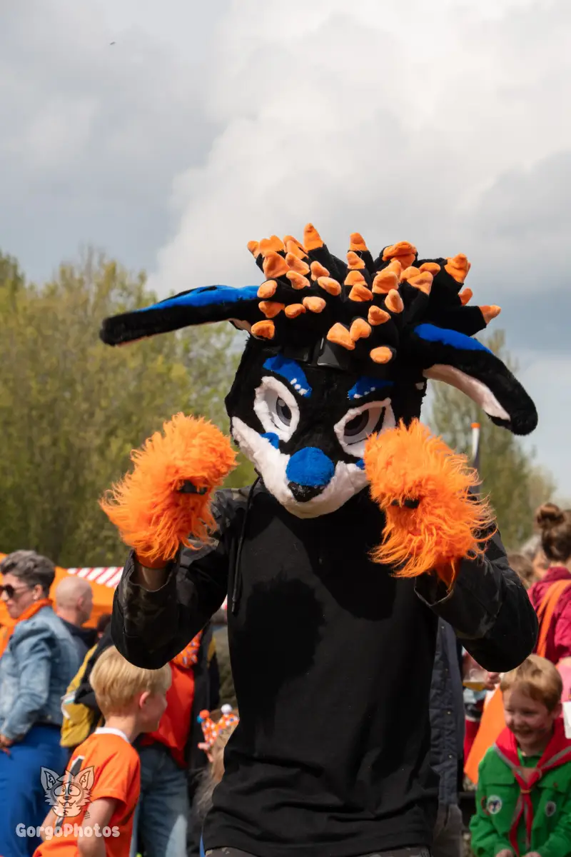 koningsdagfurwalk-138-standard.webp