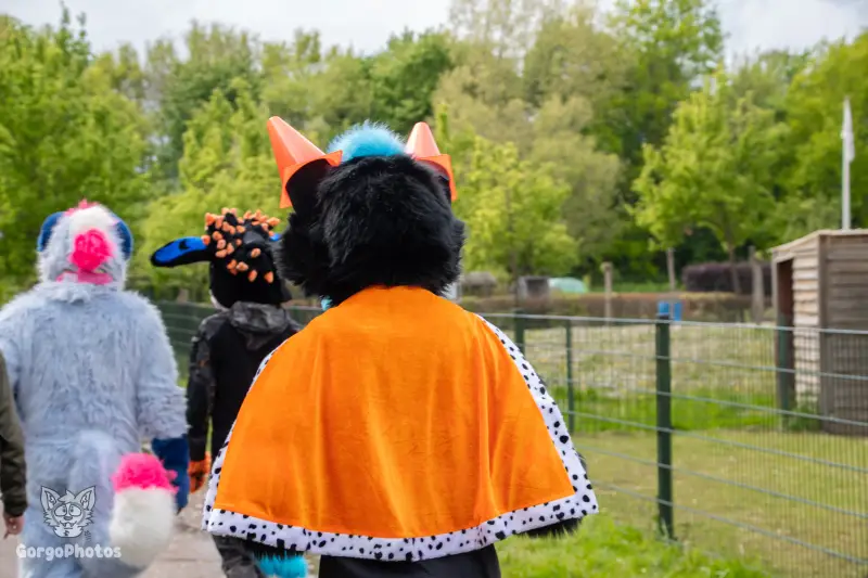 koningsdagfurwalk-14-standard.webp