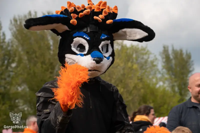 koningsdagfurwalk-140-standard.webp