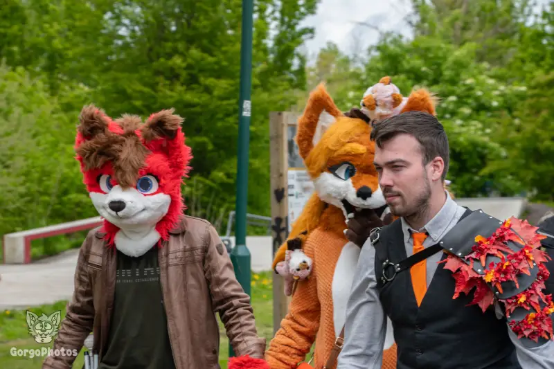 koningsdagfurwalk-24-standard.webp