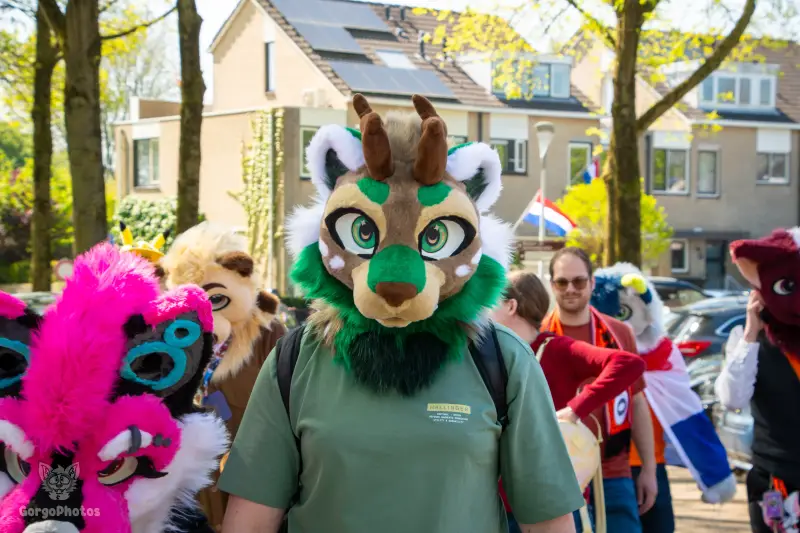 koningsdagfurwalk2025-24-standard.webp