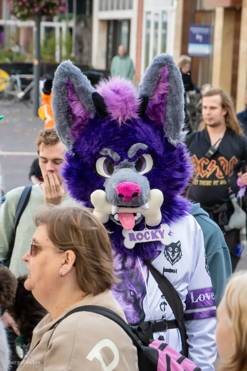 mfy_roosendaalfurwalk-19-standard.webp