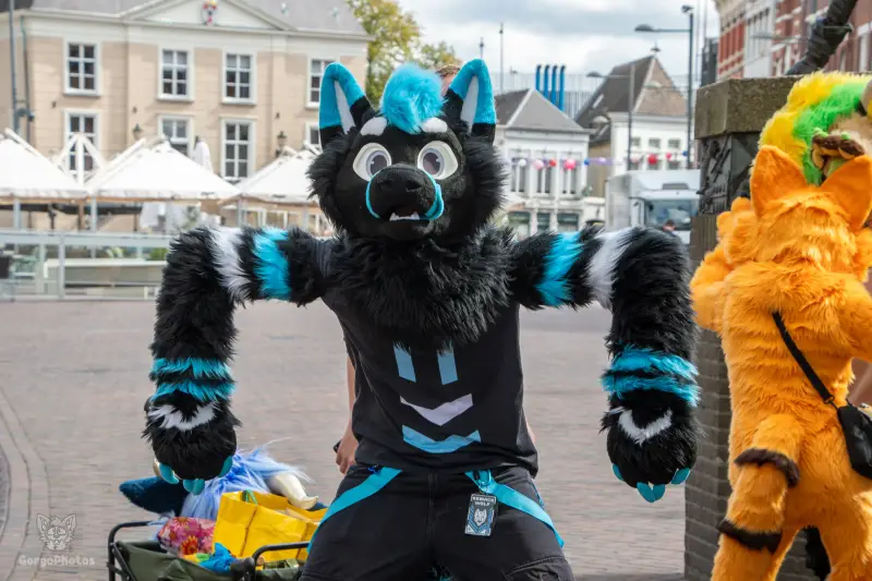 mfy_roosendaalfurwalk-20-standard.webp