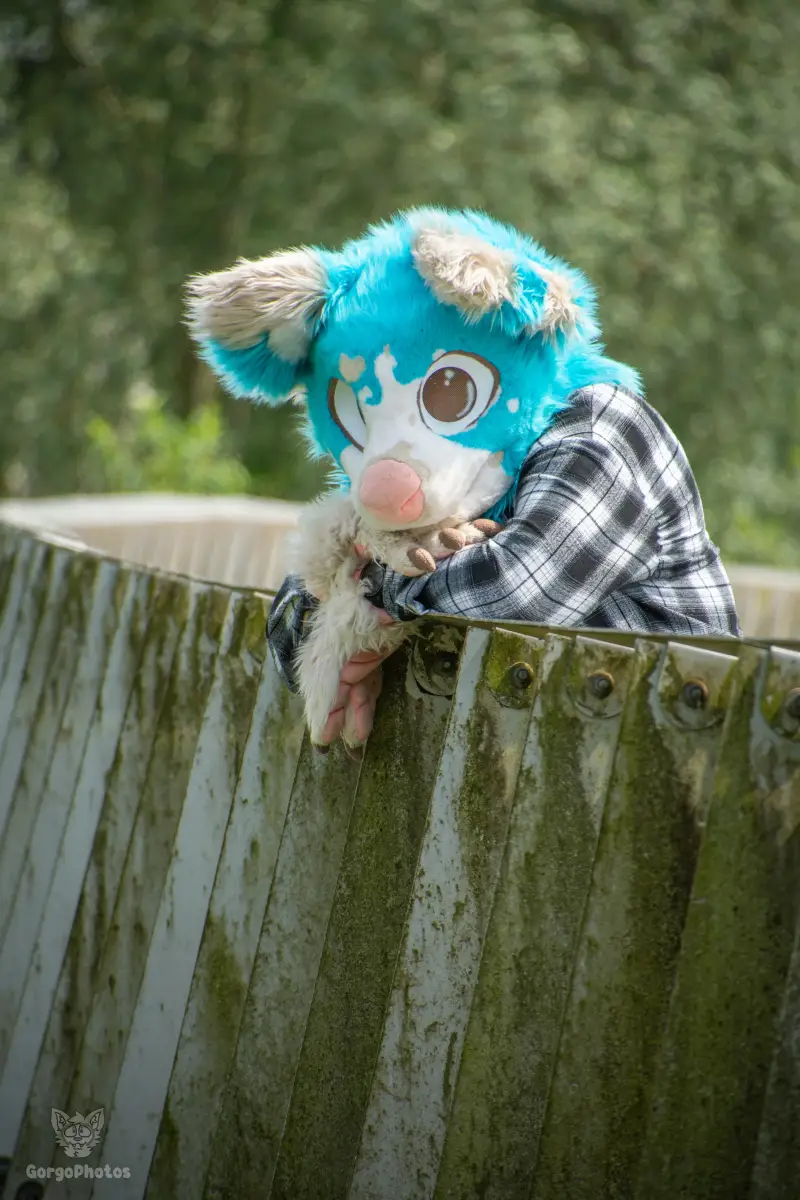 miilkybridgephotoshoot-16-standard.webp